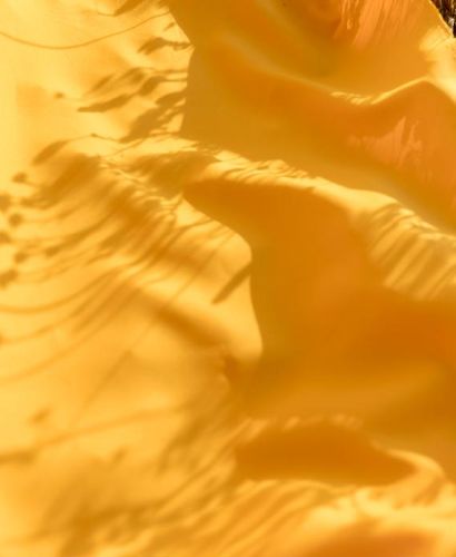 SUNMOR®：PROFUSION UPF50+ UV-BLOCKER